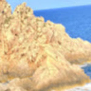 Meet your Posher, Robin